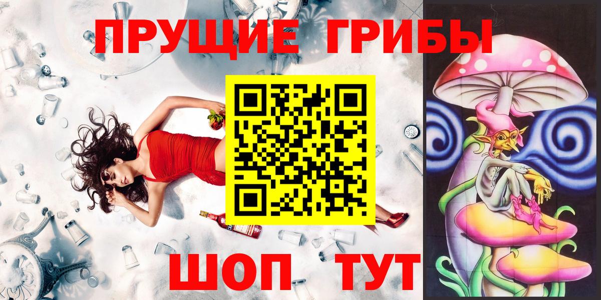 Псилоцибиновые грибы Psilocybe  Вход с VPN  Чехов  Галлюциногенные грибы Psilocybine cubensis 